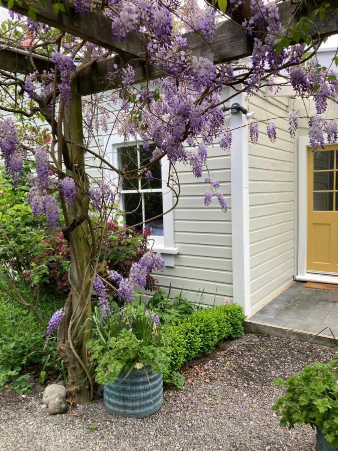 Country Bliss Cottage Greytown Eksteriør billede